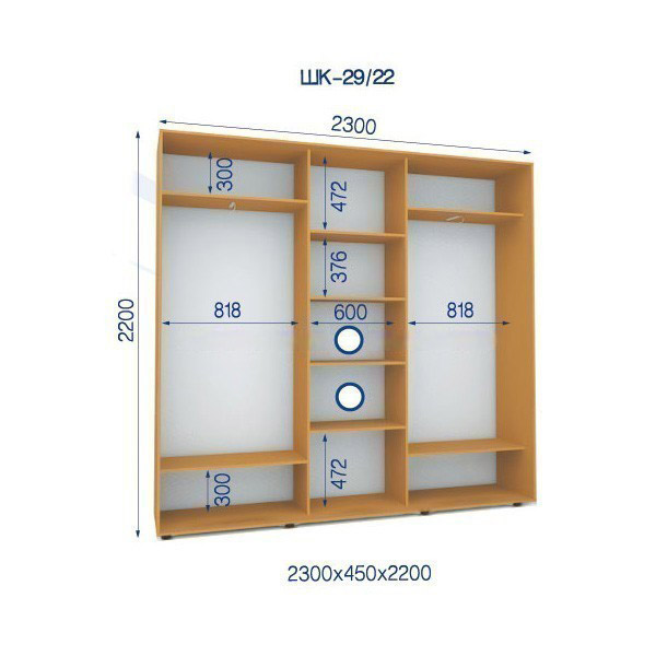 Шкаф-купе-29/22-2300*450*2200 3-х дверный с зеркалом