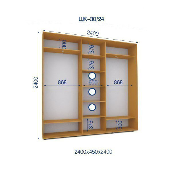 Шкаф-купе-30/24-2400*450*2400 3-х дверный с зеркалом